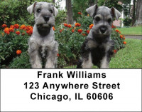 Snugly Schnauzer Address Labels | LBDOG-77