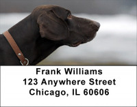 German Shorthair Pointer Address Labels | LBDOG-78