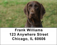 German Shorthair Pointer Address Labels | LBDOG-78