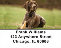 German Shorthair Pointer Address Labels | LBDOG-78