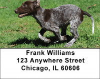 German Shorthair Pointer Address Labels | LBDOG-78