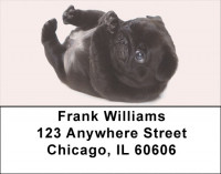 Pugs Are Sleepy Address Labels | LBDOG-86