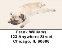Pugs Are Sleepy Address Labels | LBDOG-86