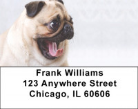 Pugs Are Sleepy Address Labels | LBDOG-86