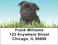 Pugs are Mischievous Address Labels | LBDOG-87