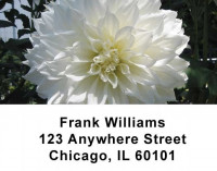 Flowers Address Labels | LBFLO-01