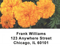 Flowers Address Labels | LBFLO-01