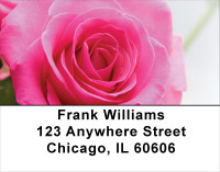 Pink Roses Address Labels | LBFLO-40