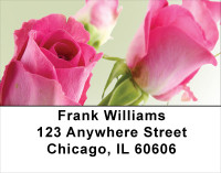 Pink Roses Address Labels | LBFLO-40