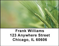 The Grain Harvest Address Labels | LBFOD-06