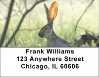 Rabbits Address Labels | LBGCB-39