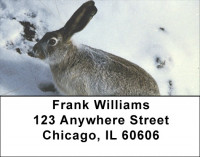 Rabbits Address Labels | LBGCB-39