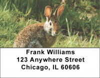 Rabbits Address Labels | LBGCB-39