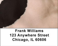 Holy Cow Address Labels | LBGEO-71