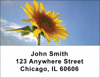 Sunflower Address Labels | LBNAT-08