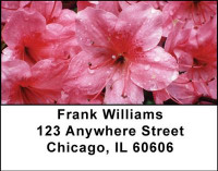 Azalea Gardens Address Labels | LBNAT-17