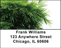 Bamboo Address Labels | LBNAT-18