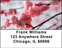 Cherry  Blossoms Address Labels | LBNAT-19