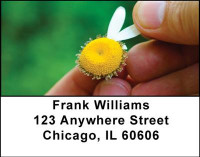 She Loves Me Address Labels | LBNAT-20