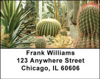 Cactus Flowers Address Labels | LBNAT-21