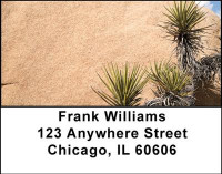 Cactus Flowers Address Labels | LBNAT-21