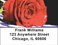 MIA - Never Forgotten Address Labels | LBPAT-23