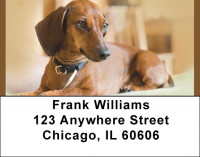 Dachshund Darlings Address Labels | LBQBB-46