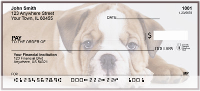 English Bull Dog Personal Checks | BAC-43