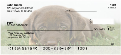 Chocolate Lab Personal Checks | BAC-45