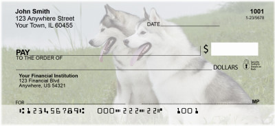 White Husky Dog Personal Checks | BAC-54