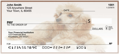Apricot Poodle Personal Checks | BAC-57