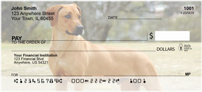 Rhodesian Ridgeback Dog Personal Checks | BAC-63