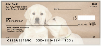 Yellow and Black Labs Personal Checks | BAK-92