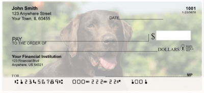 Chocolate Labs Personal Checks | DOG-54