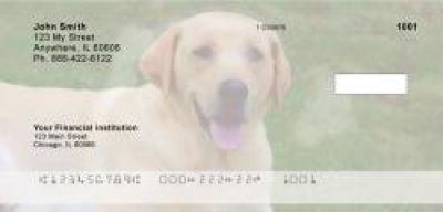 Yellow Lab Majesty Personal Checks | DOG-56