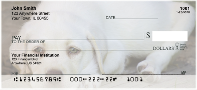 Yellow Lab Puppies Personal Checks | DOG-72