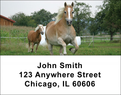 Horses Address Labels | LBANI-02