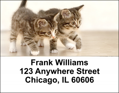 Cute Kittens Address Labels | LBANI-06R