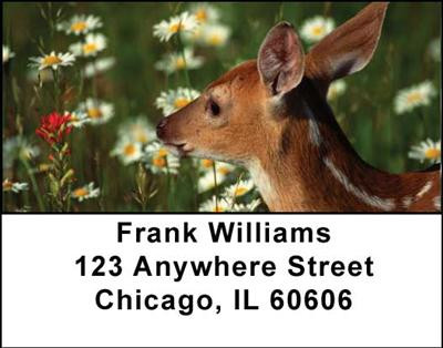 Baby Deer Address Labels | LBANI-18