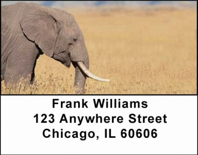 Elephants Address Labels | LBANI-22