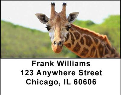 Giraffes Address Labels | LBANI-27