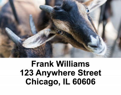 Goats Address Labels | LBANI-28