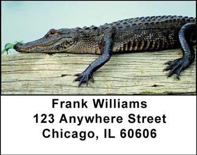 Alligators and Crocodiles Address Labels | LBANI-43