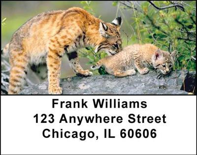 Bobcats Address Labels | LBANI-48