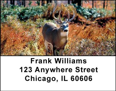 Deer Address Labels | LBANI-55
