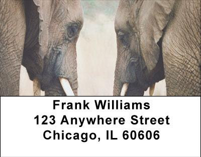 Heads Or Tails Address Labels | LBANI-68
