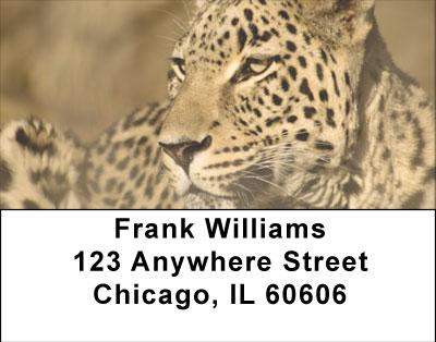 Spot On Address Labels | LBANI-94