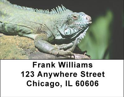 Razzle-Dazzle Reptiles Address Labels | LBANI-97