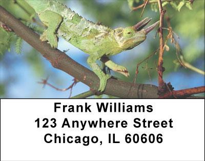 Lively Lizards Address Labels | LBANI-98