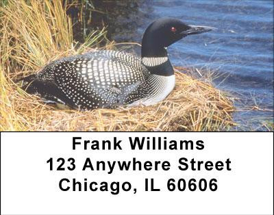 Nesting Loons Address Labels | LBANJ-02